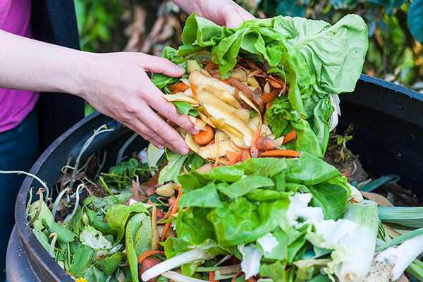 HKUST Receives Diamond Award in Environmental Protection Department’s Commendation Scheme on Source Separation of Commercial and Industrial Waste