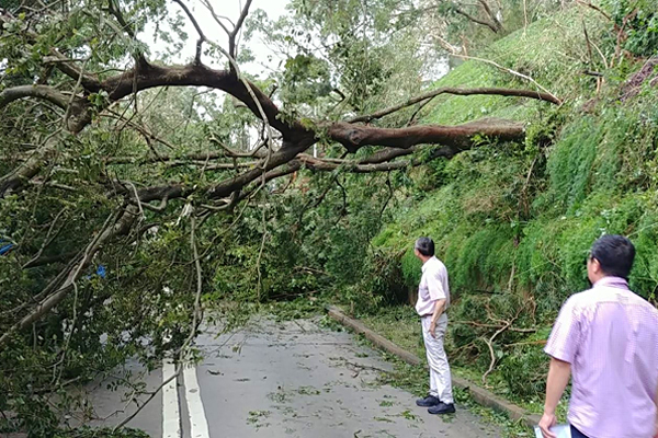 Emergency Preparedness for Super Typhoon Mangkhut