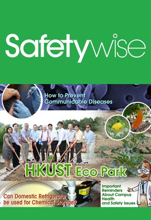 Safetywise_Dec2011