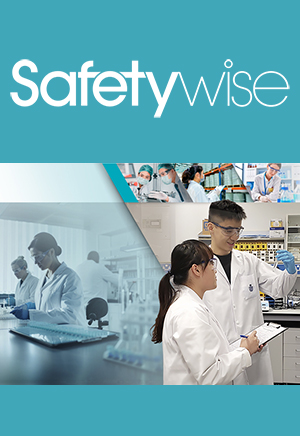 Safetywise_eBook_Dec2023