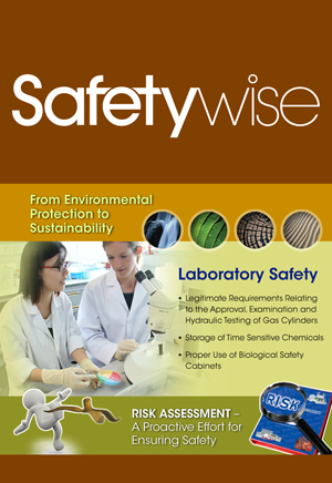 Safetywise_Dec2012
