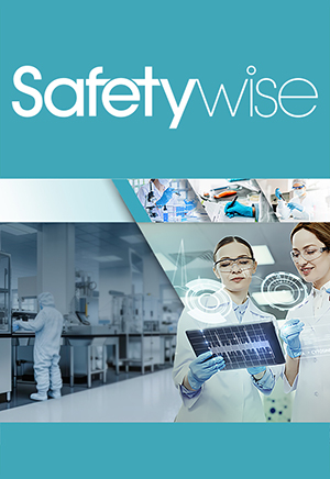 Safetywise_eBook_June2023